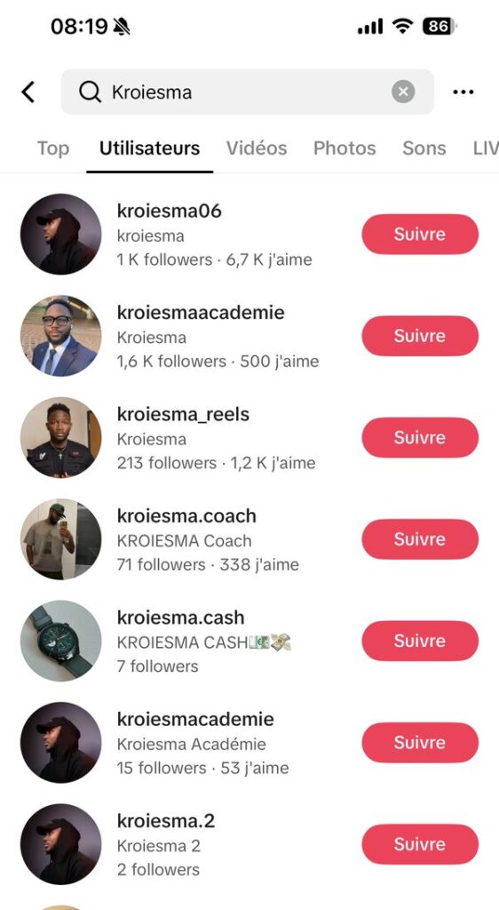 Recherche TikTok « Kroiesma » : plusieurs comptes de clips d'un même créateur