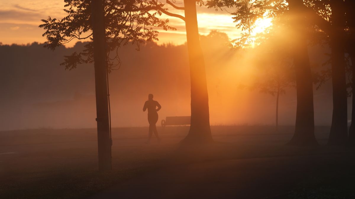 Discipline > Motivation : la méthode simple pour agir même quand tu n’as pas envie Discipline > Motivation : la méthode simple pour agir même quand tu n’as pas envie